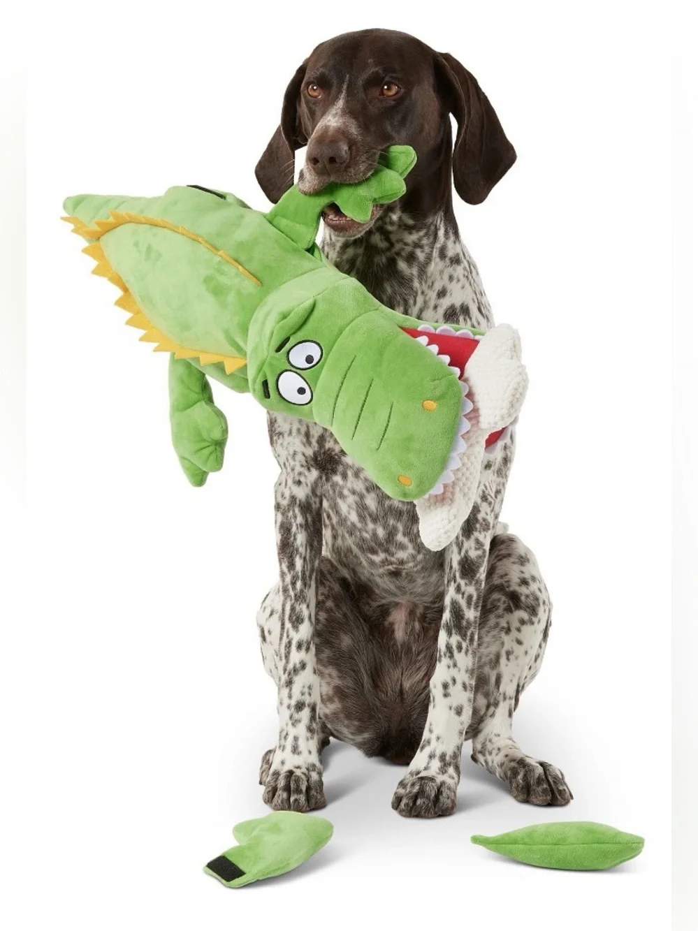 Joyhound XL GIANT Green alligator plush dog toy W/ 4 rip away limbs & a bone